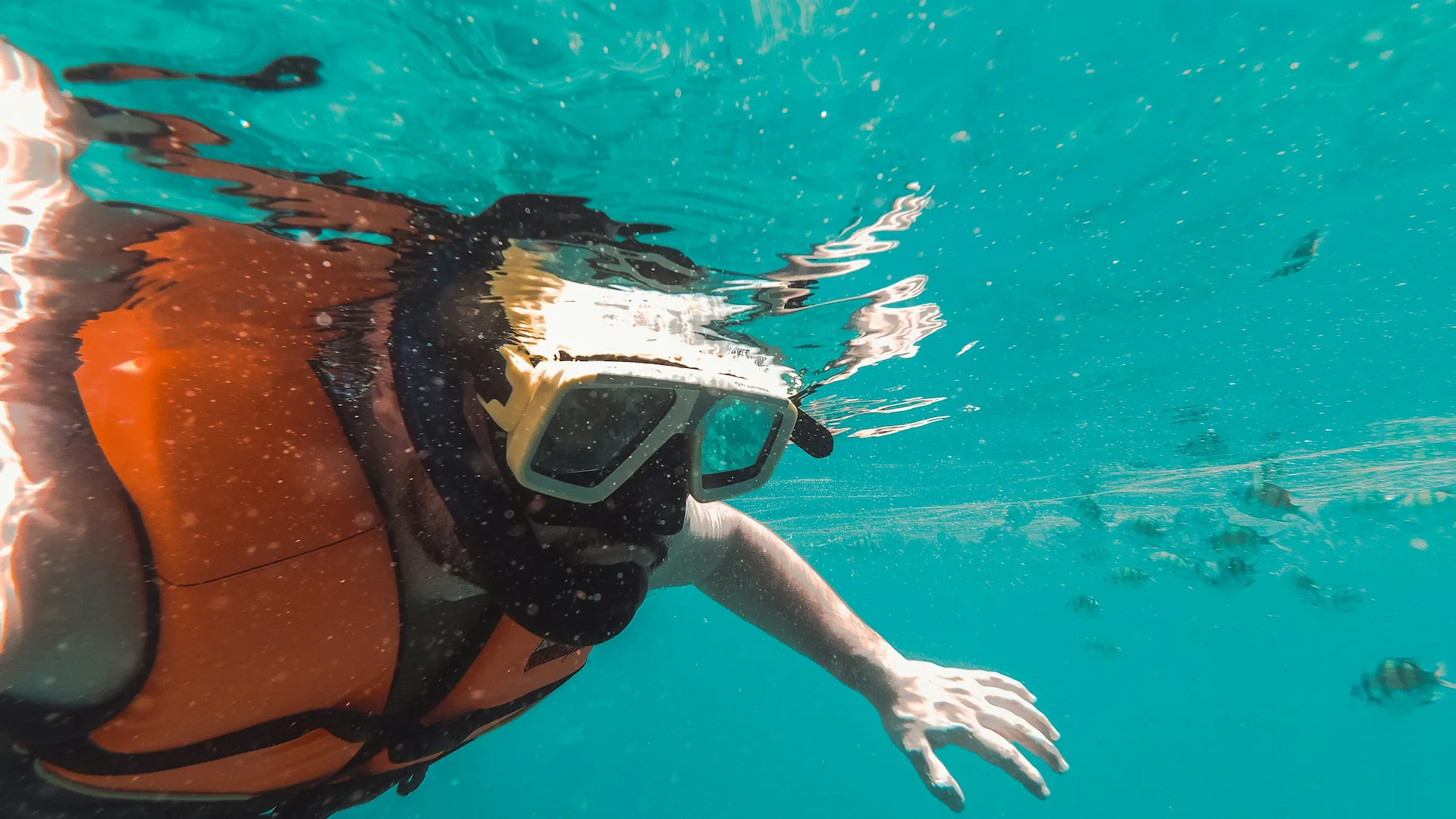 Person snorkeling in crystal-clear waters, exploring underwater marine life near Conrad Tulum