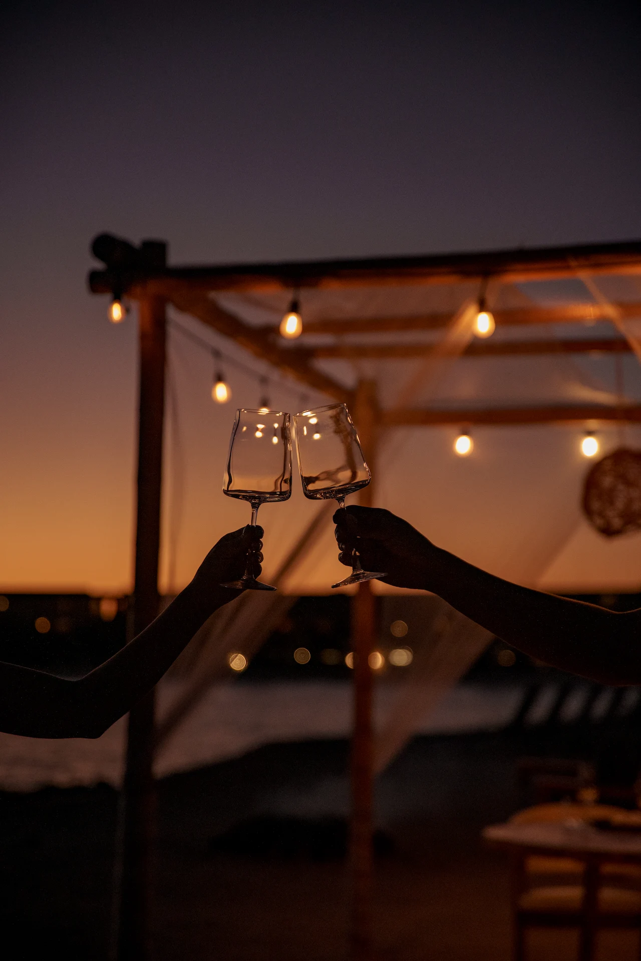 Couple toasting during the wine tour in Mexico, celebrating with local wines and enjoying the experience