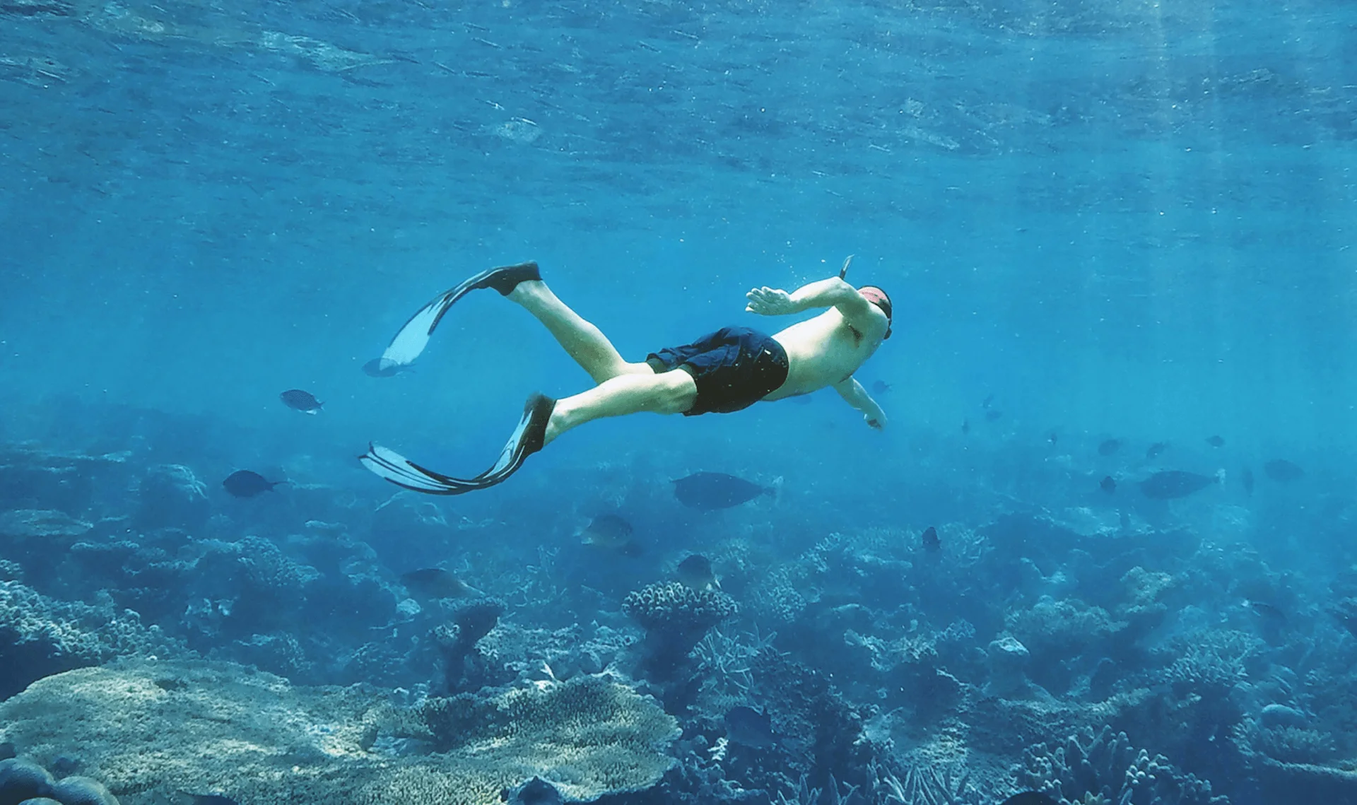 Man snorkeling in crystal-clear waters near Conrad Tulum Riviera Maya, enjoying vibrant marine life