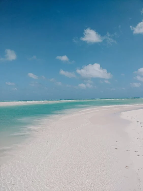 Beach with crystal-clear waters in Tulum, showcasing soft white sand and vibrant coastal scenery